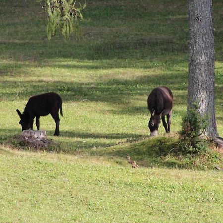 فيلا Planinska Hisica Pod Macesni - Bohinj Srednja Vas v Bohinju المظهر الخارجي الصورة